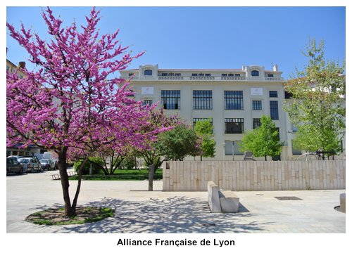 alliance-française-de-lyon